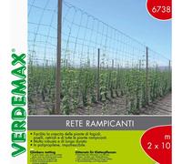 Rete per rampicanti