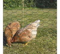 RETE TRIPLA 25X1 H100 PLASTIFICATO 10 MT