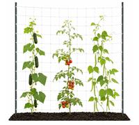 Rete Tutore Antistrappo Piante Rampicanti Pomodori Cetrioli Orto Serra 100-200cm