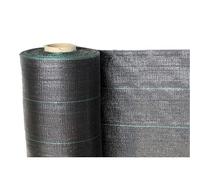 RETELANDIA L'OUTLET DELLE RECINZIONI Telo pacciamatura in Polipropilene 100 g/m2 Anti Erbacce, antiradice, antialga, agritela cm 210 x 100 m Lunghezza
