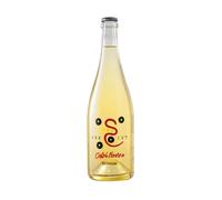 RETHIUM Frizzante Sui Lieviti Tappo Corona Biologico 2022 - Castel Noarna