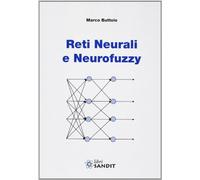 Reti neurali e neurofuzzy