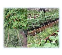 RETI ORTOFRUTTA IN NYLON SOSTENGREEN per ortaggi rampicanti