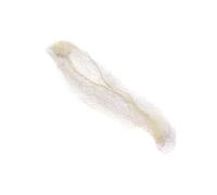 Retina per capelli elastica invisibile per infermieri, ballerine, assistenti di volo, a maglia fine, per infermiere, ballerine, assistenti aerei, cuffia elastica per capelli a maglia fine