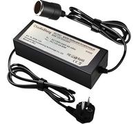 Retoo Adattatore di alimentazione per auto convertitore di tensione da 230V a 12V 80W, adattatore di alimentazione per auto, adattatore di alimentazione AC-DC per aspirapolvere per auto, compressori