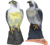 Retoo Repellente per uccelli, falchi, falchi, falchi, falchi, uccello falso, protezione da giardino, repellente per parassiti, rapace, repellente naturale dei parassiti, plastica, 40 x 17,5 cm