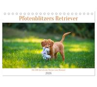 Retriever - Mit DIR hol ich die Sterne vom Himmel (Tischkalender 2026 DIN A5 quer), CALVENDO Monatskalender: Sie sind Apportierhunde, aber für uns ... sie für uns die Sterne vom Himmel holen!