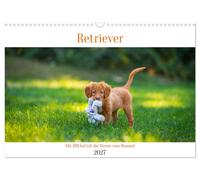 Retriever - Mit DIR hol ich die Sterne vom Himmel (Wandkalender 2027 DIN A3 quer