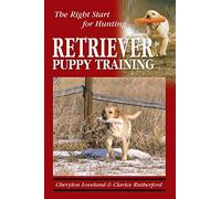 Retriever Puppy Training: The Right Start for Hunting