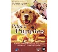 Retrievers, the - Pilot'S Puppies