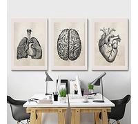 Retro Anatomia Umana Polmone Cervello Cuore Poster E Stampe Ospedale Tela Pittura Parete Della Tela Di Canapa Di Arte Soggiorno Decorazione Della Casa 16"X24"X3Pcs