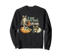 Retro I Was Normal 3 Cats ago Humorous Cat Lovers Owners Felpa