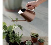 Retro In Acciaio Inox Annaffiatoio Bollitore per Ufficio Scrivania di Piante