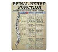 Retro Nervous System Metal Tin Sign Vintage Human Anatomy Chart Body Science Art Decor for Study Room Home Office or Classroom (8 X 12 inch)