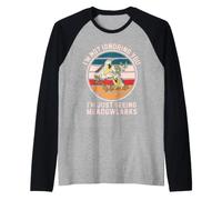 Retro Non Ti ignorando, STO Solo vedendo Gli Uccelli dei Prati Maglia con Maniche Raglan