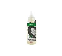Retro Professional itone, pigmento PURO 100 ML 16 Verde