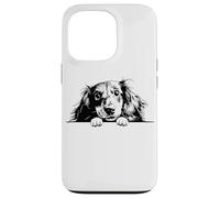 Retro Vintage Logo Black Long Haired Dachshund Dog Lover Custodia per iPhone 13 Pro