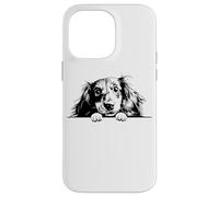 Retro Vintage Logo Black Long Haired Dachshund Dog Lover Custodia per iPhone 14 Pro Max