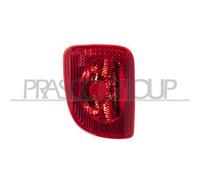 RETRONEBBIA SINISTRO per RENAULT KANGOO / GRAND KANGOO II e KANGOO Express