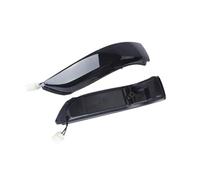 Retrovisore Indicatore Compatibile Con Per Accord CP1/CP2/CP3 2008-2013 Per Acura RL (KB1/2) 2006-2009 Indicatore Luminoso Di Direzione Laterale Dinamico Della Portiera