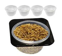 RETTILE ACQUA COTOPA-ABS singolo (Ø circa 7 cm × 2 cm) staccabile e risparmio spaziale | Reptile Waťer con tazze, alimentazione e idratazione per, drago grigliare | Accessorio Terrario