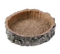 Rettile Cibo E Acqua Piatto Mini Angolo Alimentazione Ciotola Rettile Forniture