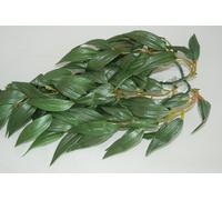 Rettile FMR Terrario Ruscus Grande Pianta di Seta 55 CMS Per Tutti I Rettili