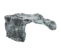 Rettile nascondere la caverna del drago barbuto hideout tartaruga rettile