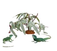 Rettili per terrario, decorazione vegetale realistica per terrario, foglie artificiali per drago barbuto, per pesci tartaruga betta geko leopardo camaleonte rana granchi anfibi
