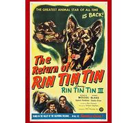 Return Of Rin Tin Tin [Edizione: Stati Uniti]