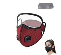 Reusable Carbon Filter Dust Mask With Adjustable Goggles,Carbon-Filter Dust Mask,Dust-Masks Breathing Protection Fine-Dust,With 10 Activated Carbon Filters,For Painting,Woodworking(C)