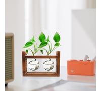 Reusable Glass Hydroponic Flower Vase on Light Brown Wooden Stand Home Decor