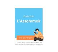 Réussir son Bac de français 2024 : Analyse de L'Assommoir d'Émile Zola