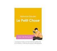 Réussir son Bac de français 2026 : Analyse du roman Le Petit Chose de Alphonse Daudet