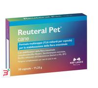 NBF LANES REUTERAL PET CANE 30 CPR.