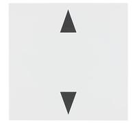 REV 0239430106 Installazione a intonaco Superiore, Bianco Opaco, Rollladen (WLAN)