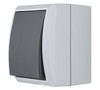 REV 0510295777 AquaForm - Interruttore a croce per ambienti umidi, IP44, bipolare, montaggio a parete, grigio, Schalter