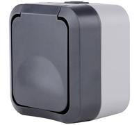 REV Completo Presa con coperchio ribaltabile AquaStorm Grigio chiaro, Nero