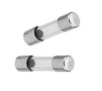 REV Fusibile per auto - fusibile fine lento, 1,6 A, 2 pezzi, 5 x 20 mm, fusibile di sicurezza argento