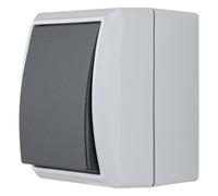 REV Ritter 0511581777 - Interruttore/deviatore IP44, AP, colore: Grigio