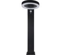 REV Ritter LED Solar Stehleuchte Round black 2023001200