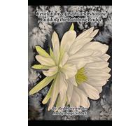 Revelations of Light and Shadow: Building the Rainbow Bridge