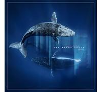 reverb from the depths