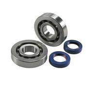 REVISIONE ALBERO MOTORE CUSCINETTI + PARAOLI POLINI 282.0001 PIAGGIO ZIP RUNNER