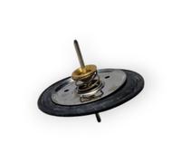 REVISIONE CON MEMBRANA PER VALVOLA PRESSOSTATICA COMPATIBILE IMMERGAS 3012806 30