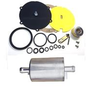 REVISIONE GPL LANDI RENZO RIDUTTORE LI10 + FILTRI KIT REVISIONE POLMONE LI10 GAS