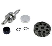 REVISIONE POMPA ACQUA POLINI INOX DNA RUNNER NRG ZIP SR NTT 50