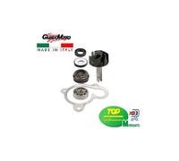 REVISIONE POMPA ACQUA SCOOTER 250 300 YAMAHA MAJESTY APRILIA LEONARDO AA00806
