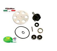 REVISIONE POMPA ACQUA SCOOTER MOTORE MINARELLI 50 TOP PERFORMANCES AA00788