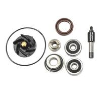 REVISIONE POMPA ACQUA SCOOTER PIAGGIO BEVERLY 300 100110440